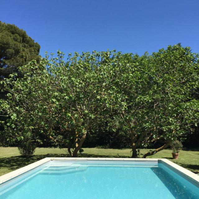 Apartamento Domaine De La Forcate Villesiscle Exterior foto